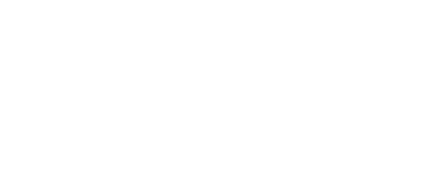 WEBDEV Consultancy